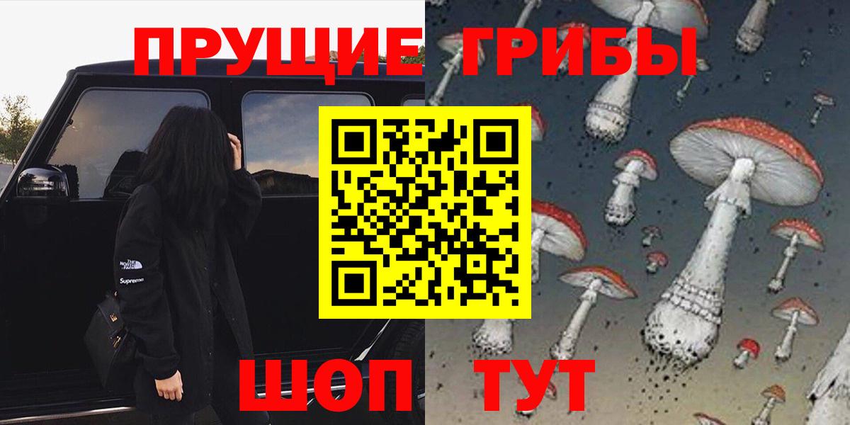 Псилоцибиновые грибы Psilocybe  продажа наркотиков  Вход с VPN  Лесосибирск  Псилоцибиновые грибы Psilocybe 