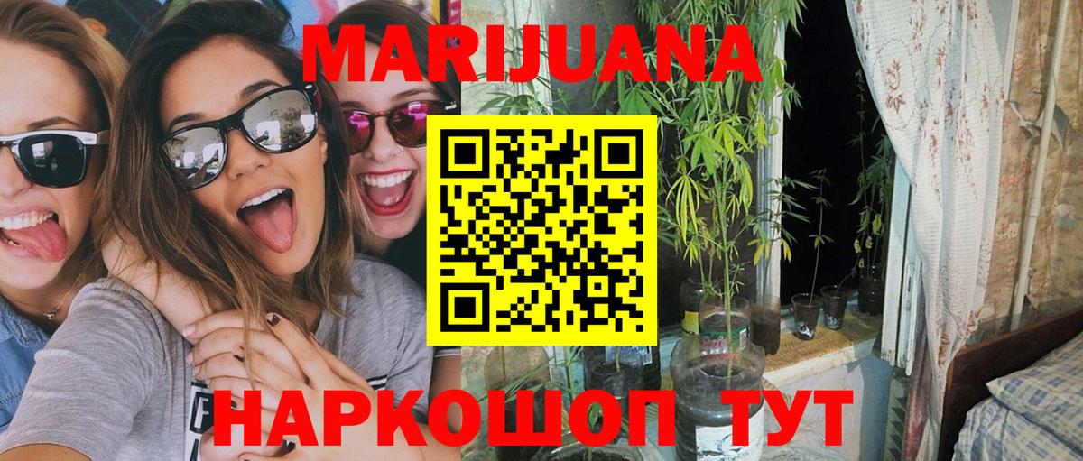 Шишки марихуана Amnesia Лесосибирск